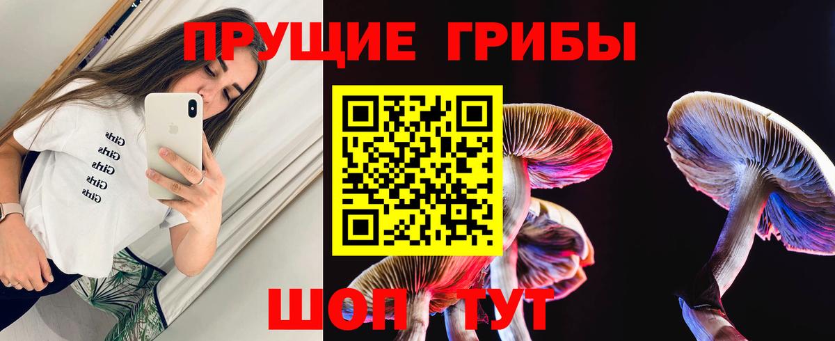 Псилоцибиновые грибы Magic Shrooms Железногорск