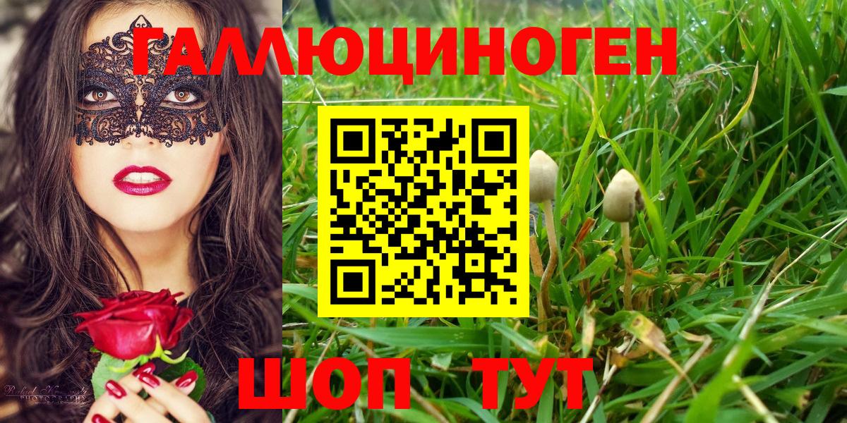 Железногорск  Галлюциногенные грибы мухоморы  Галлюциногенные грибы GOLDEN TEACHER  Вход с VPN 